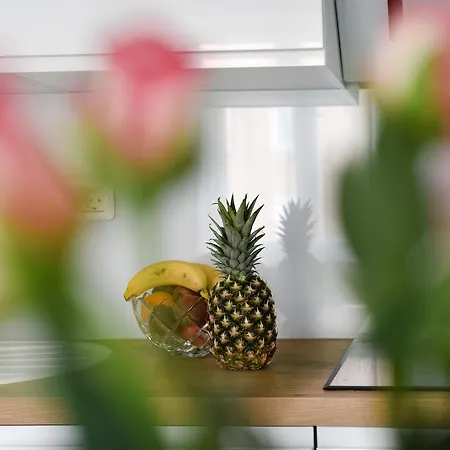 Apartment Lant *